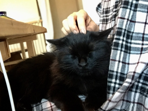 FullSizeR のコピー 3