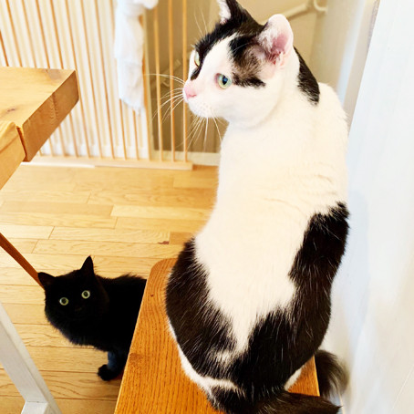 2のコピー