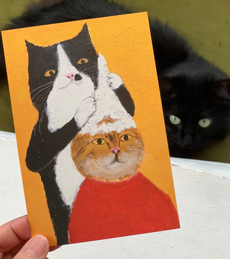 本日の猫作家 : まこという名の不思議顔の猫