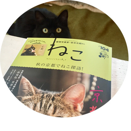 FullSizeR-3
