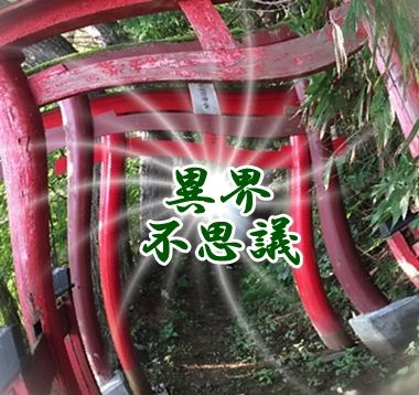 cIMG_3341b