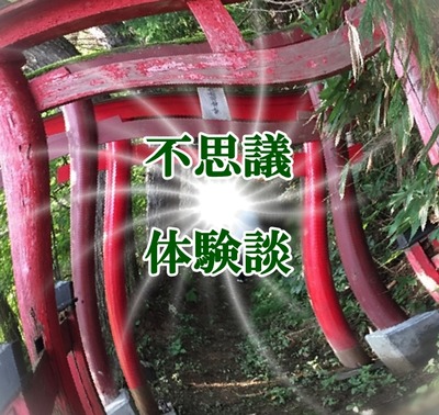 cIMG_3341