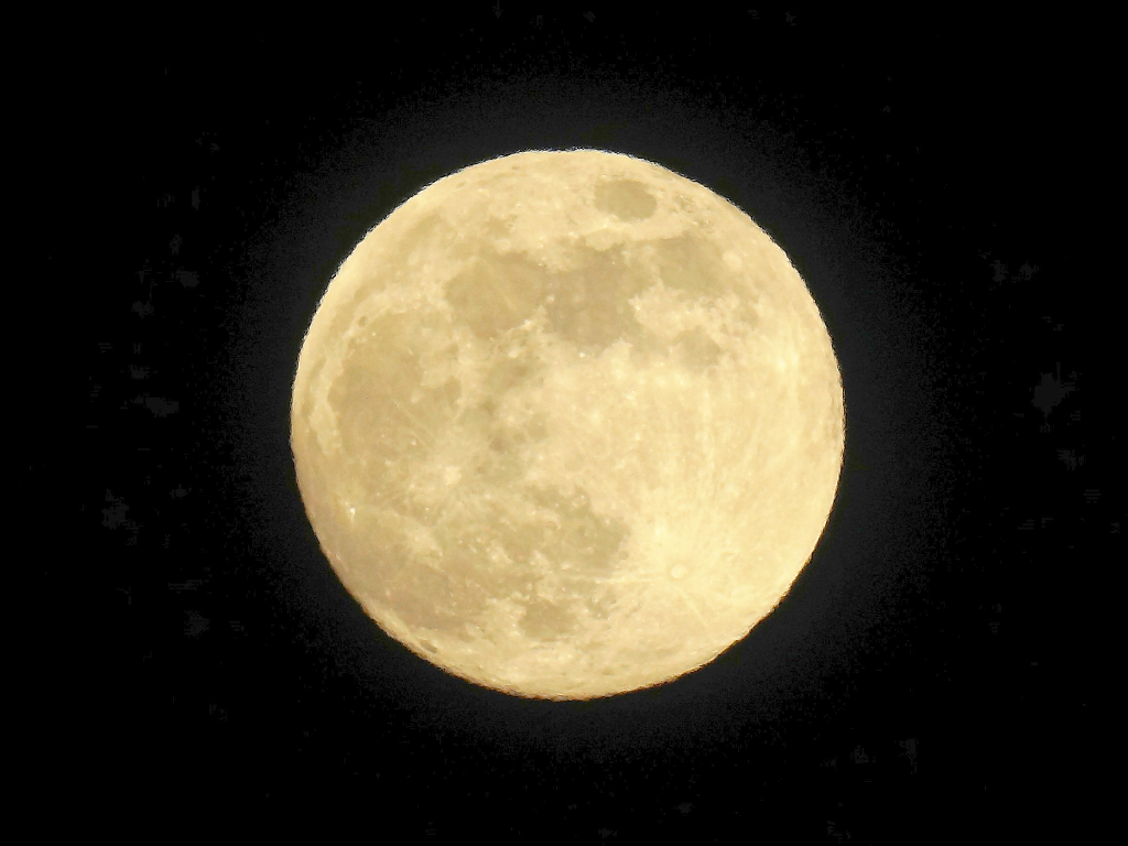 小望月 迷途覚路夢中行