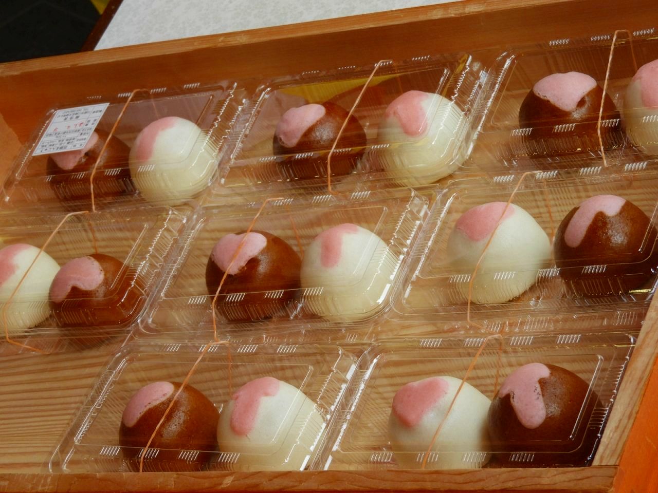 イメージ 15