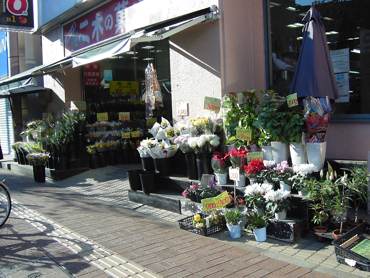 駅前のお花屋さん 青山生花 福生ハッピータウンブログ 駅前のお花屋さん 青山生花 福生ハッピータウンブログ