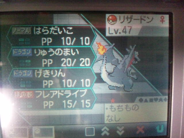 辰年はリザードンで 夢ヒトカゲ 夢ゼニガメ 夢フシギダネ ラビリンスブイズ募集