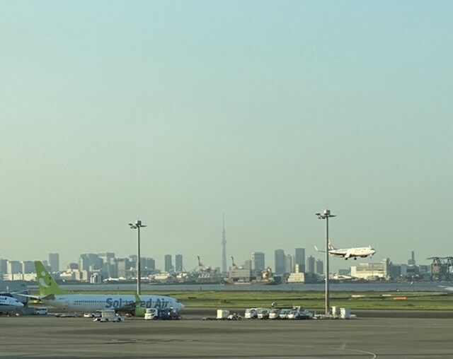 Where Dreams Come True ウォルトディズニー Fust Manager Blog 福岡大学水泳部