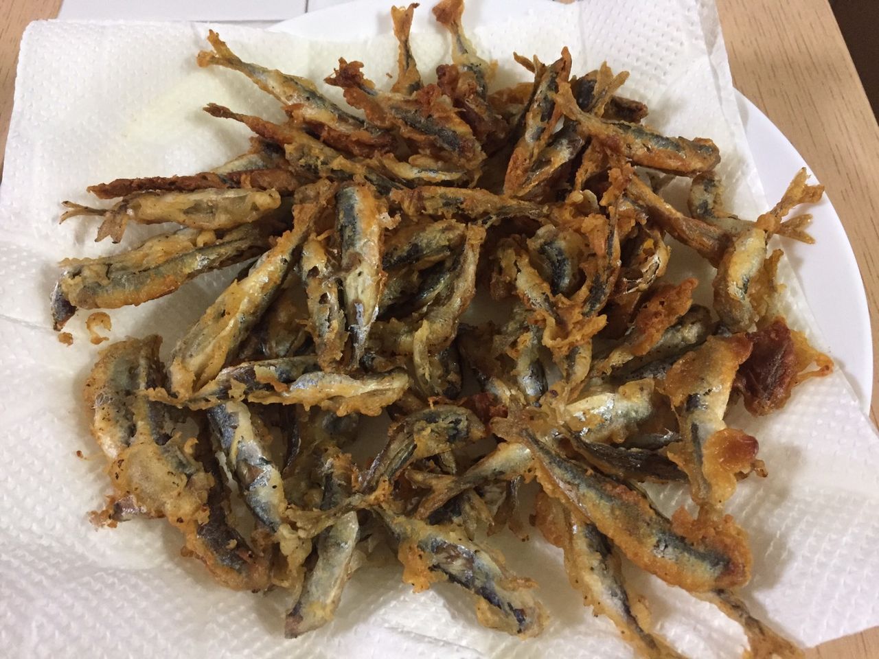 大磯漁港 小鯖のサビキ釣り 19年4月18日 Futa Maxのblog