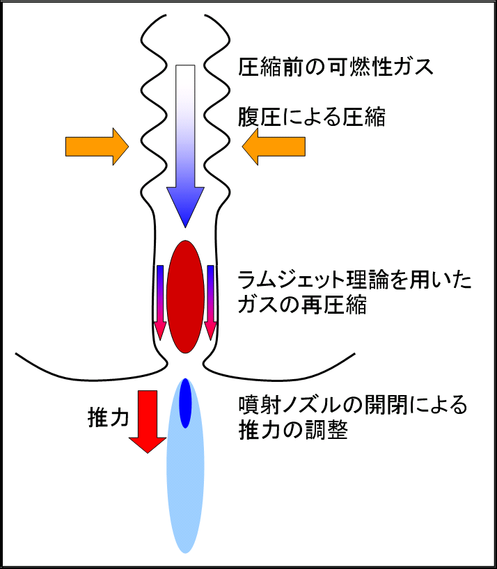 ニトフタバ 画像ネタ