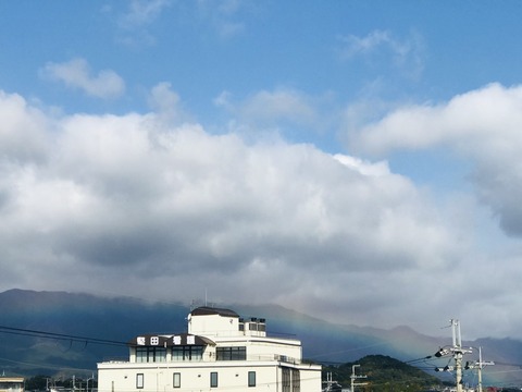 thumbnail_IMG-0313