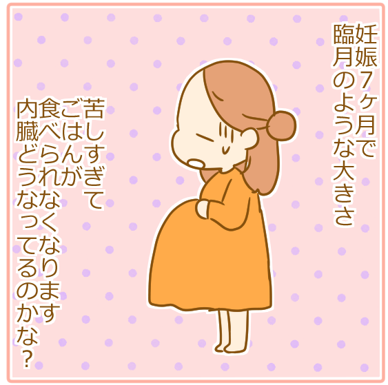 双子妊娠⑥とにかく腹がでかい!03