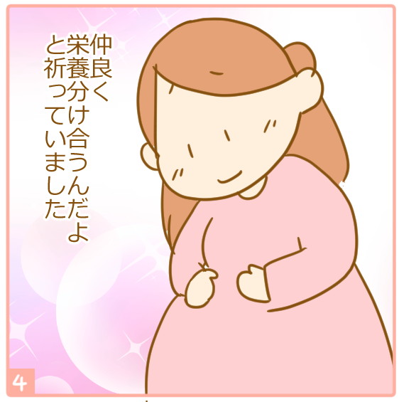 双子妊娠⑭体重差が心配4