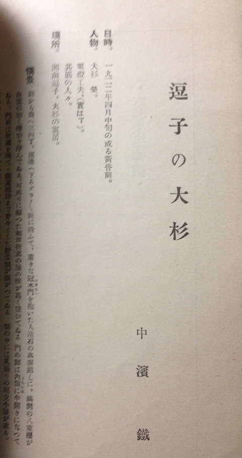 逗子の大杉