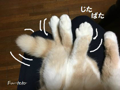 BlogPaint