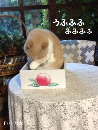 813-5