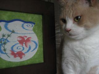 猫無関心 金魚鉢の額 猫日和 キルト日和 猫無関心 金魚鉢の額 猫日和 キルト日和