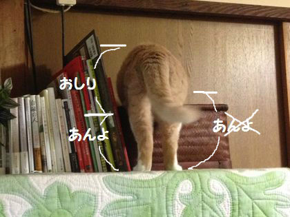 BlogPaint