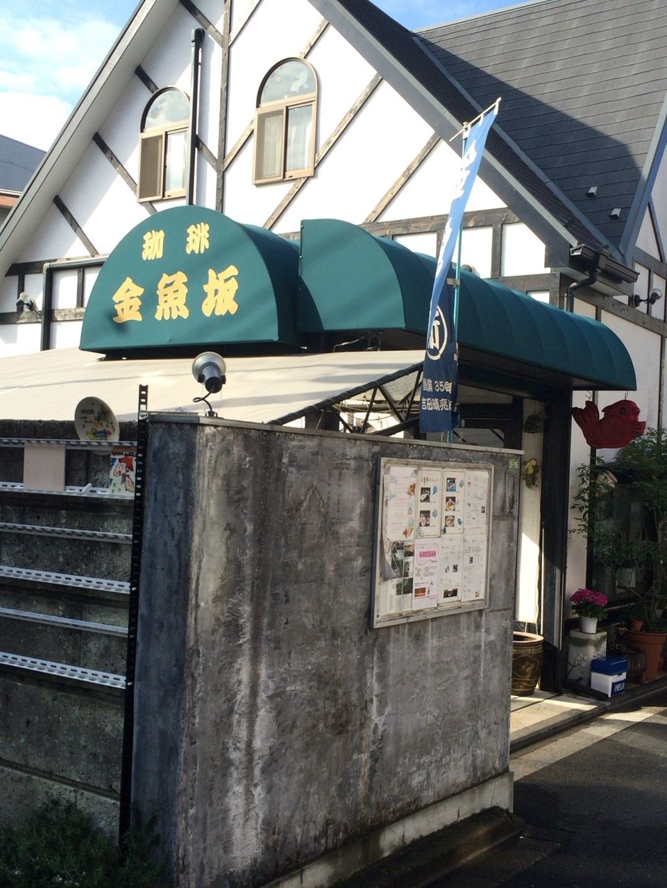 憧れの金魚坂へ行ってみた 本郷 ほんわか日記 超初心者金魚飼育ママの日常