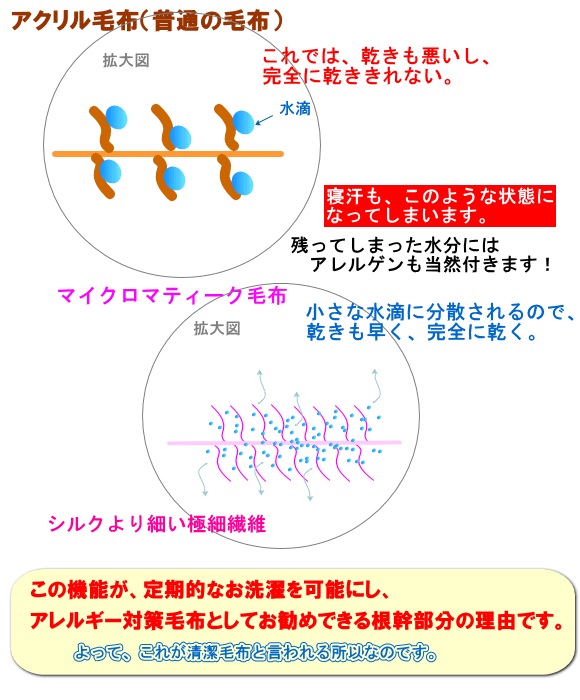 10052021neta