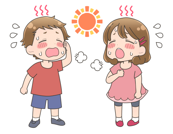 2024年08月 : 布団 を考える