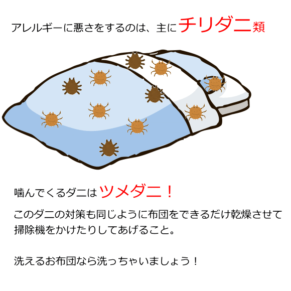 06302020neta