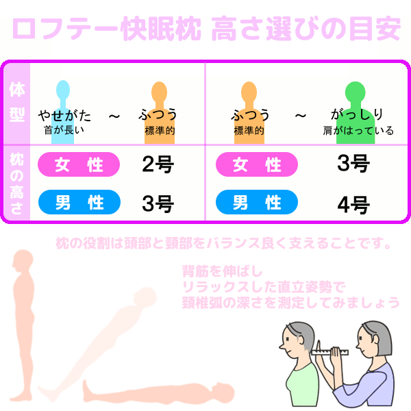 まくら選び ロフテー快眠枕 眠りプロデュース Aster Blog まくら選び ロフテー快眠枕 眠りプロデュース Aster Blog
