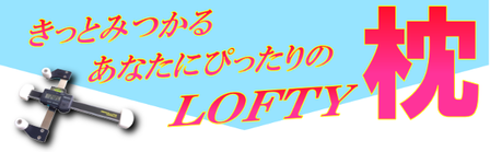 ¥í¥Õ¥Æ¡¼²÷̲Ëí