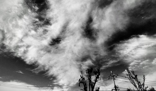 DSC_0845_24 (2)