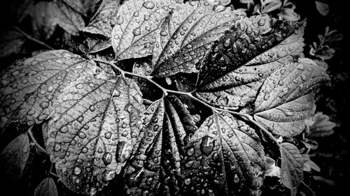 DSC_0846_16
