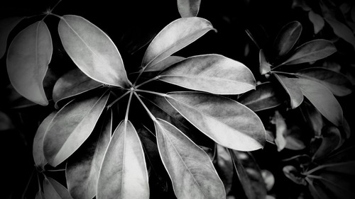 DSC_0846_5