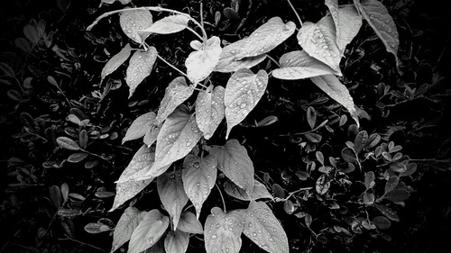 DSC_0851_4