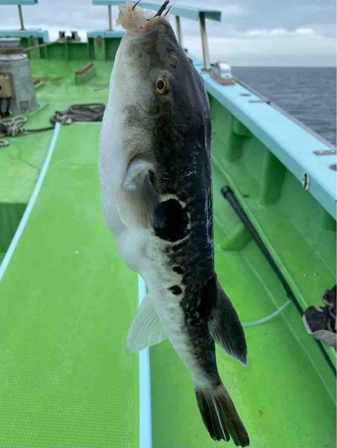 FullSizeRender