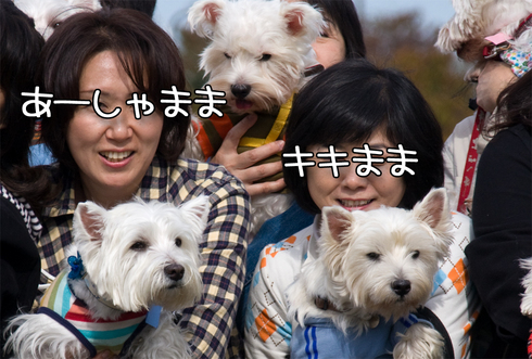 アレちゃん