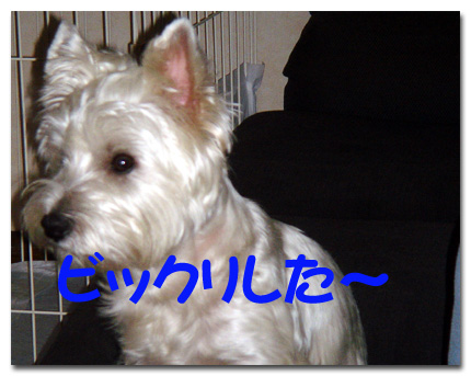 びっくりした〜