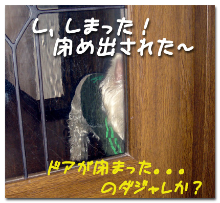 閉め出された
