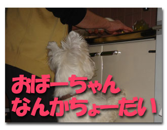 ちょーだい