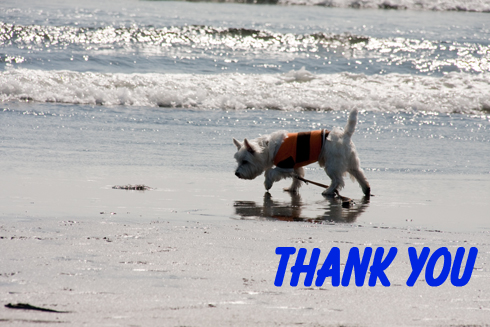 Thankyou