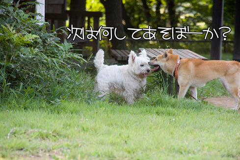 プランニング