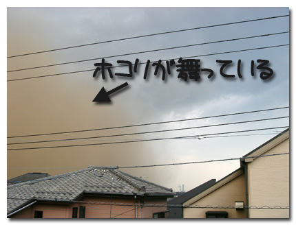 ホコリが舞う