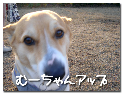 ムーちゃんアップ