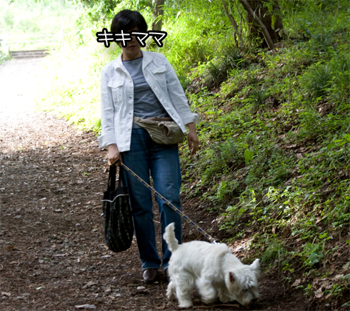 陣ヶ下渓谷公園