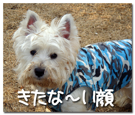 きたな〜い顔