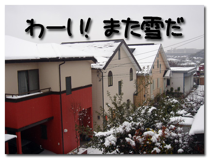 また雪だ〜