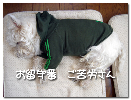 お留守番