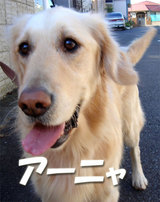 アーニャ