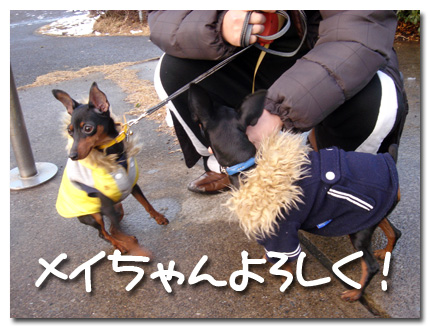 めいちゃんよろしくね