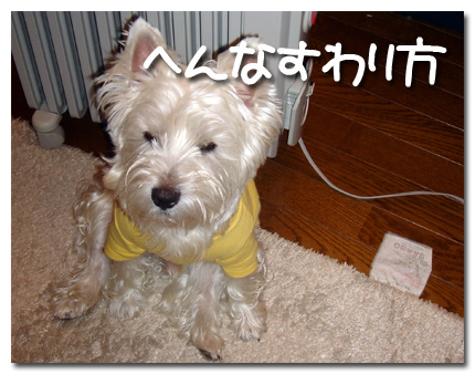 へんなすわり方