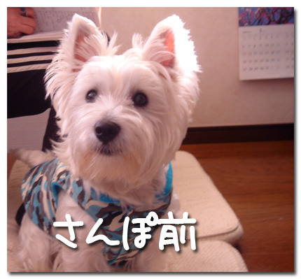 さんぽ前