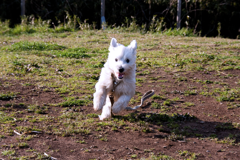 RUN