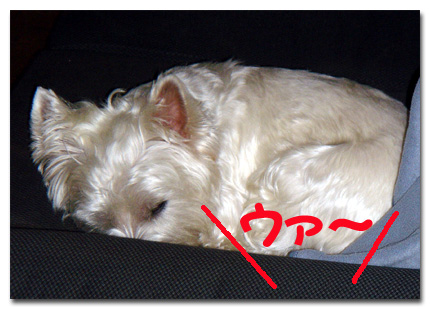 Zzzzz